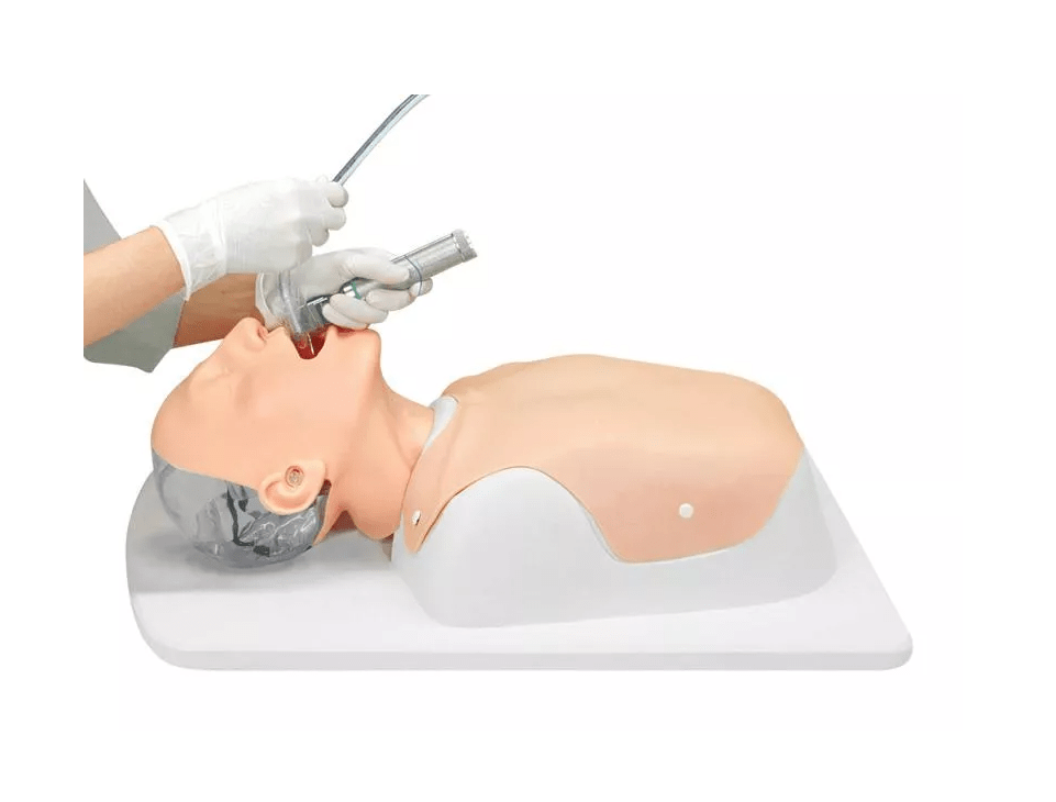 Simulator schwieriges Atemwegsmanagement - Erler - Zimmer